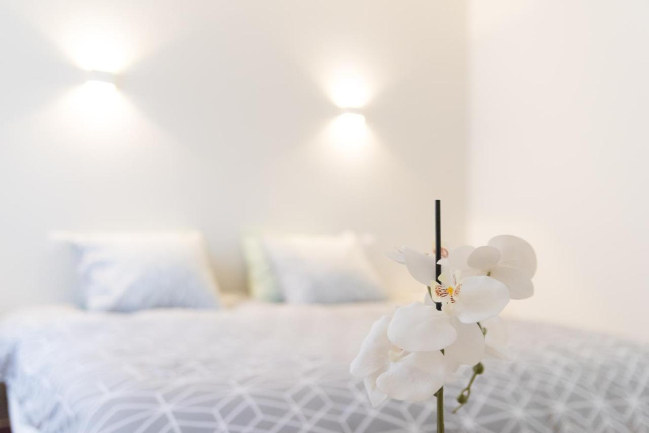 Ravissant Triplex Et Duplex Au Centre De Pont St Esprit Lägenhet Exteriör bild